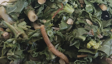 山野菜中的“******”——苦菜，吃它對(duì)身體的作用太大了